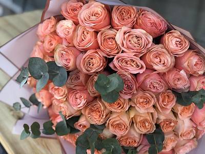 61 пионовидная роза с эвкалиптом 7