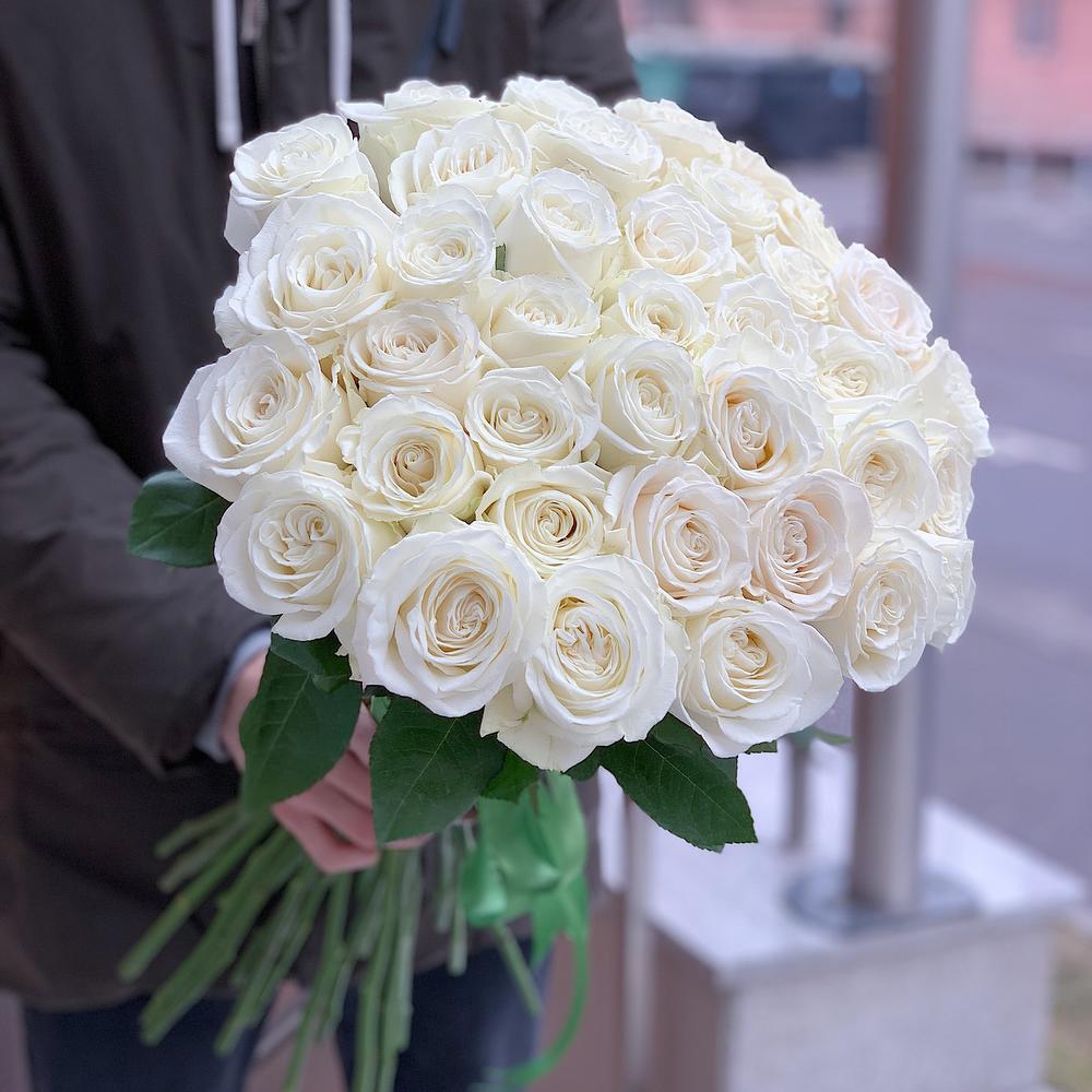 45 белых голландских роз