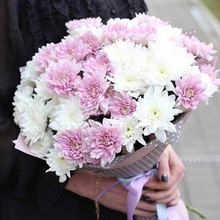 Букет из 9 нежно-розовых и белых кустовых хризантем