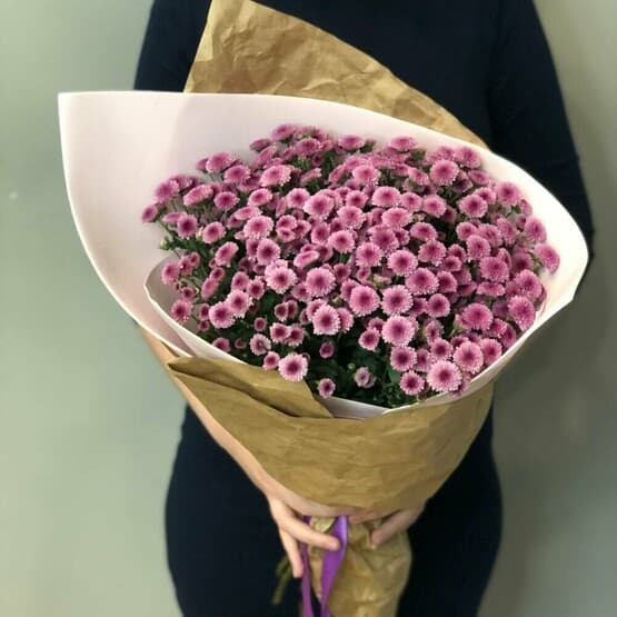Букет из 15 розовых кустовых хризантем сантини