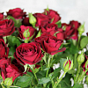 Букет красных спрей роз