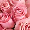 Букеты розовых роз