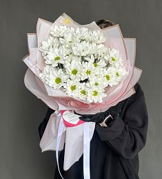 5 белых ромашковидных хризантем в оформлении