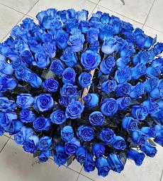 Корзина из 101 синей розы