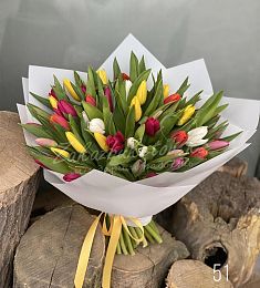 51 голландский тюльпан в оформлении