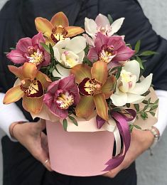 Композиция "Арни" из орхидей и фисташки в коробке