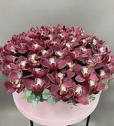55 орхидей с эвкалиптом в коробке