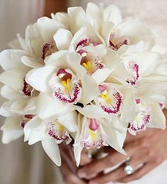 Букет невесты из 23 белых орхидей