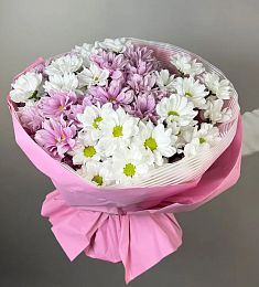 Букет из 9 нежно-розовых и белых ромашковидных хризантем