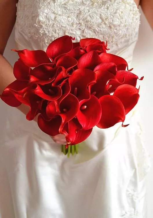 Букет невесты из 23 красных калл 